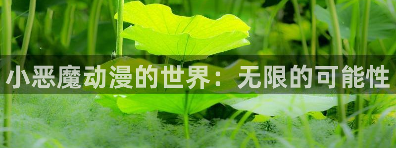 星星动漫网火狼