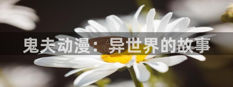 火狼动漫官网pro