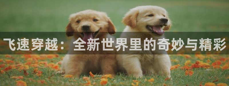 火狼动漫网站在线观看：飞速穿越：全新世界里的奇妙与精彩